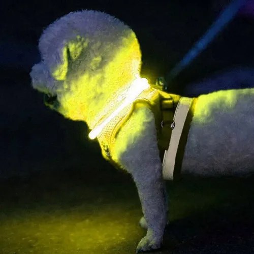 LED-es lámpa nyakörv - állítható Purlov 24200