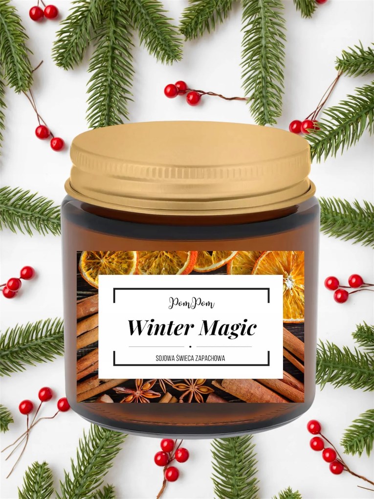 Karácsonyi szójagyertya Winter Magic 120 ml
