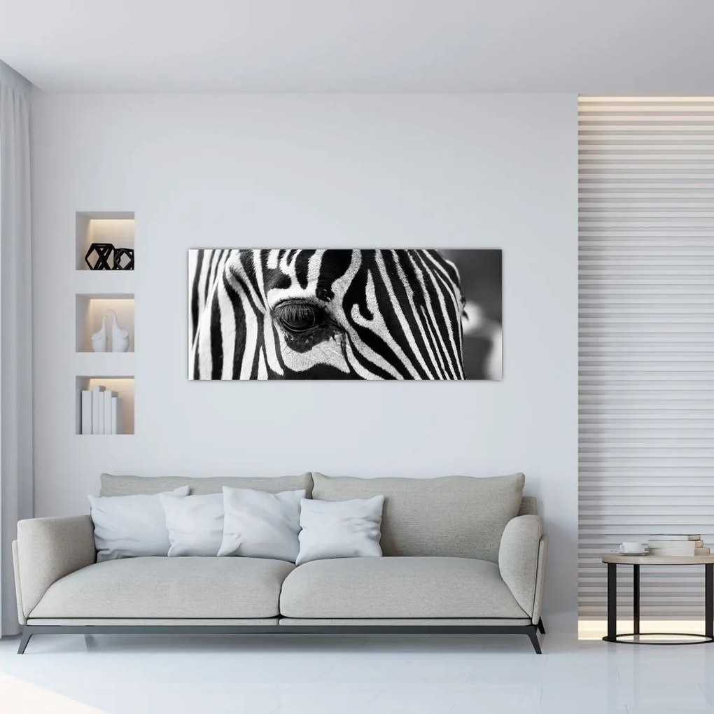 Zebra képe (120x50 cm)