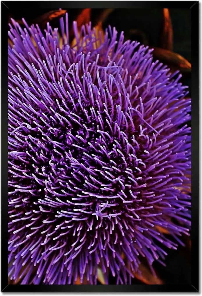 Poszter keretben 40x60 Virág Lila Csipkebogyó