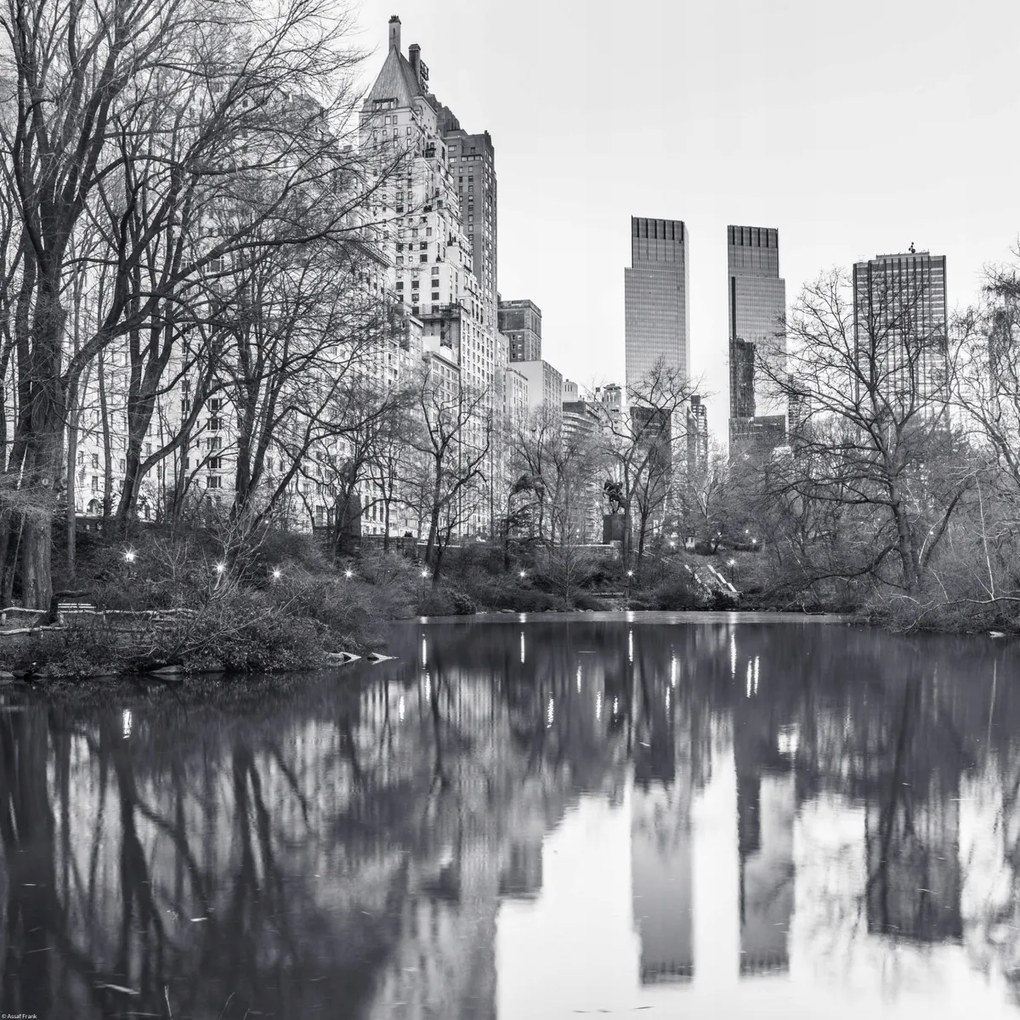 Poszter 50x50cm Központi park Manhattan panorámával 4, Assaf Frank