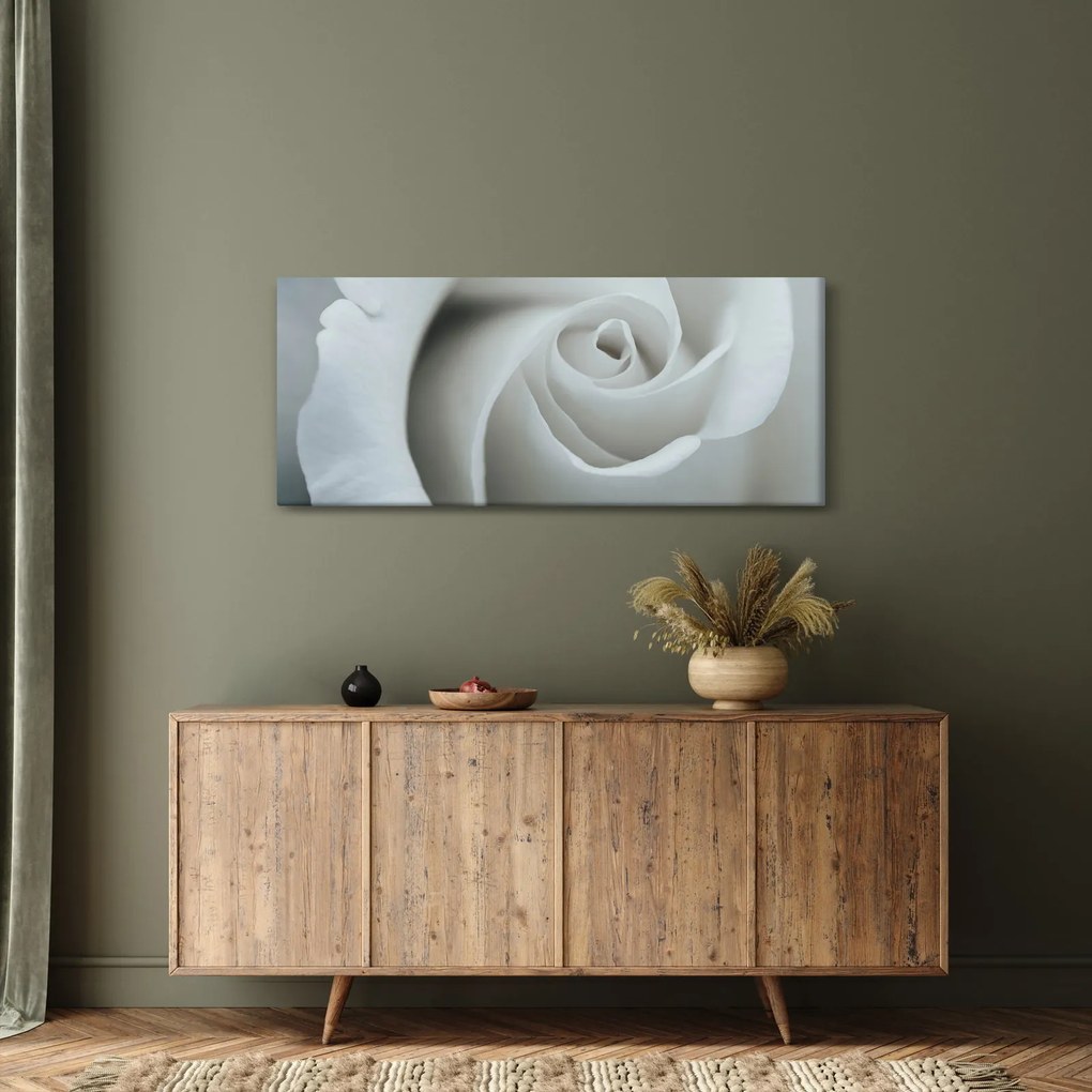 Kép - Fehér rózsa (120x50 cm)