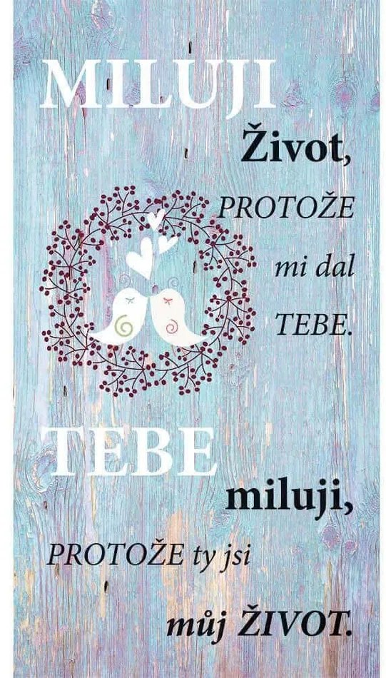 Bohemia Gifts Dekoratív kép Miluji život (Szeretemaz életet), 20 x 40 cm