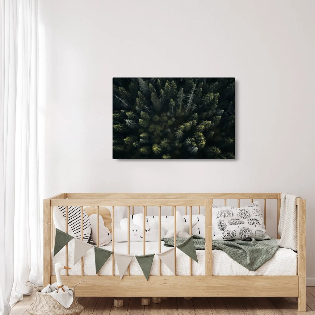 Kép - Forest (90x60 cm)