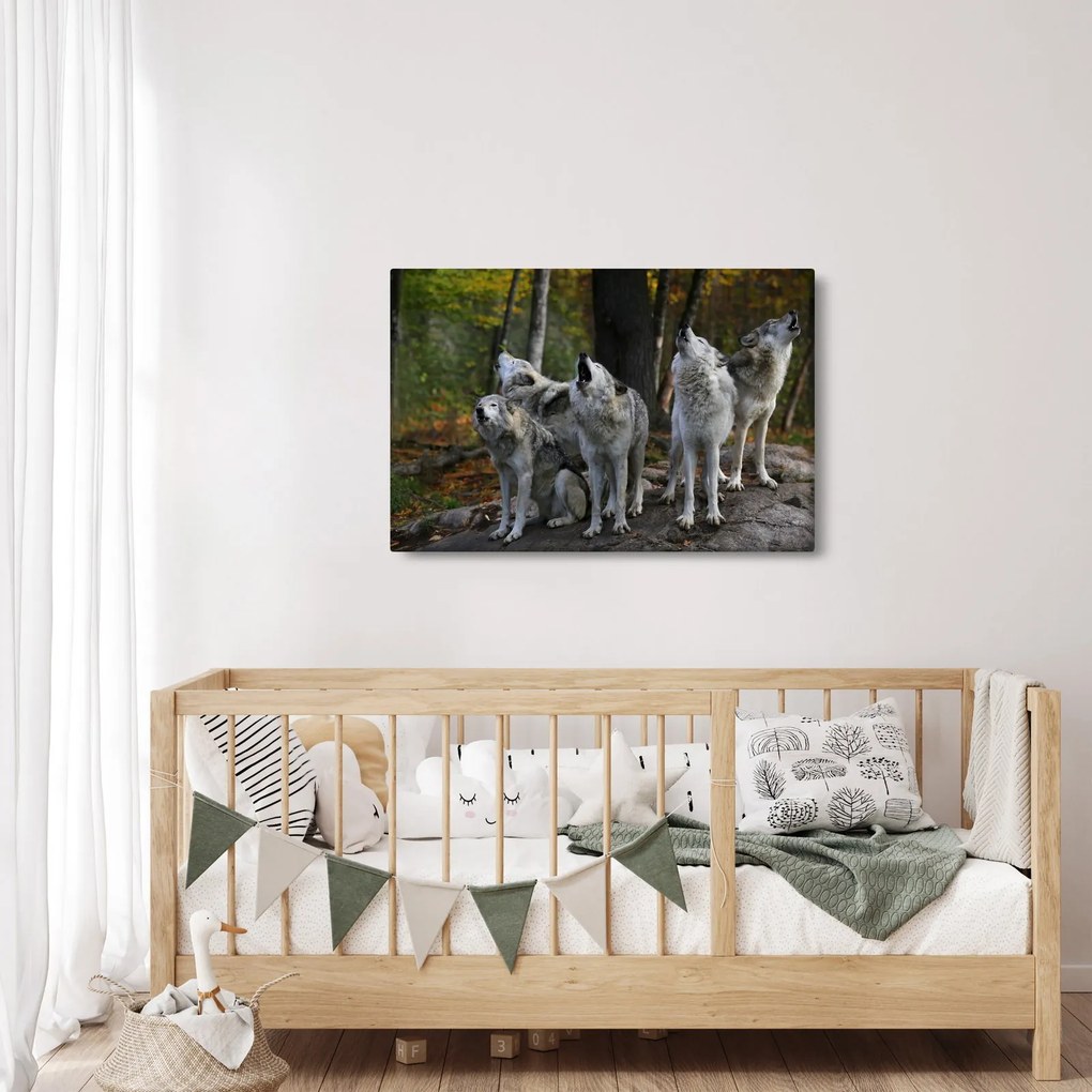 Kép - Farkasok a sziklán (90x60 cm)