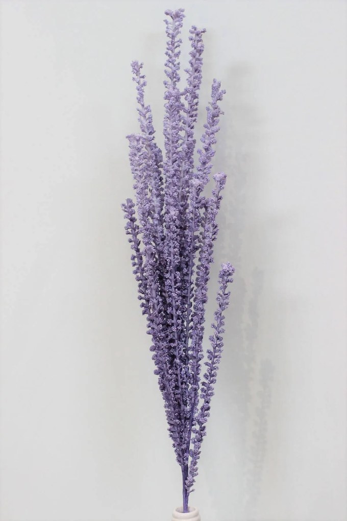 Lila habfű, bogyókkal 80cm