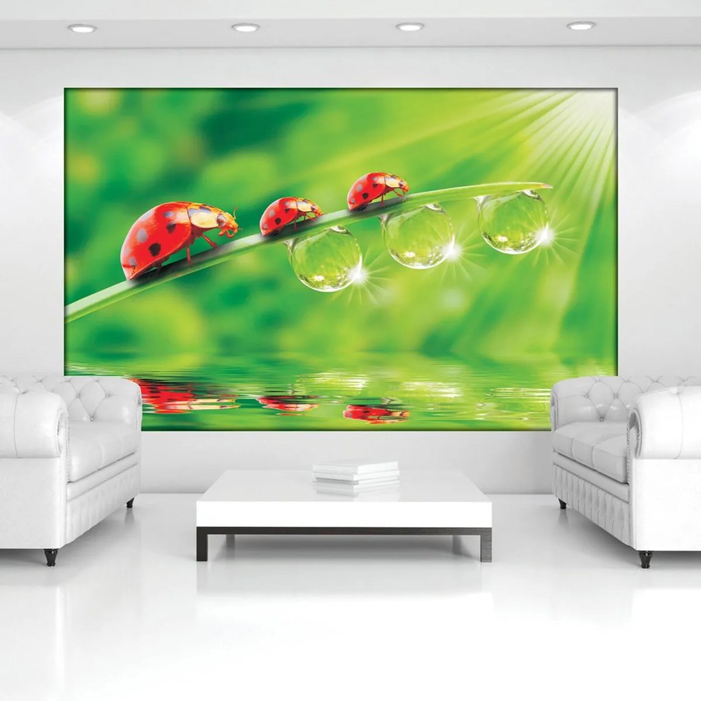 Fotótapéta - Virágok (152,5x104 cm)