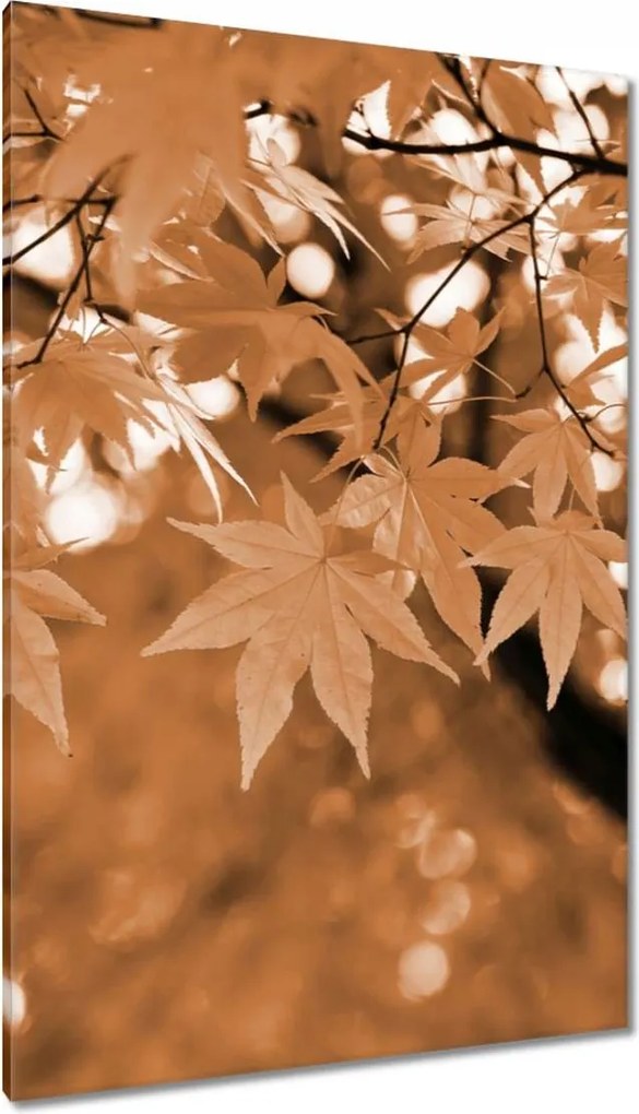 Vászonkép 80x120 Szépia Őszi levelek