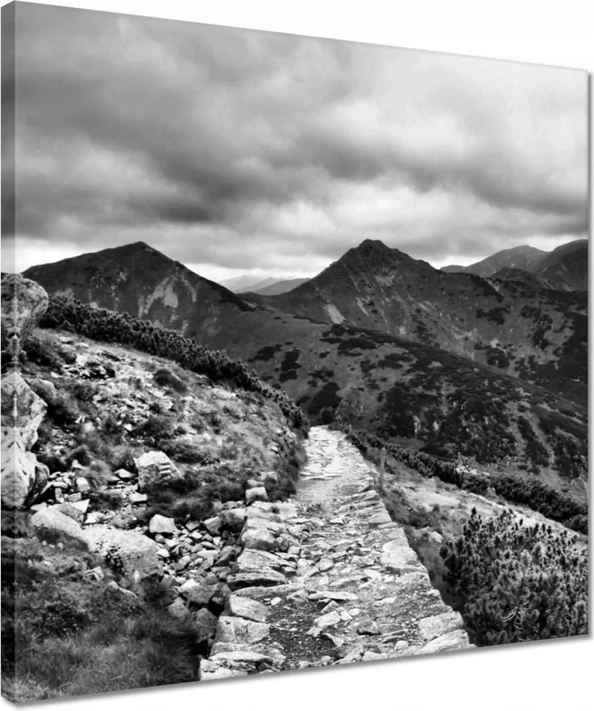 Vászonkép 40x40 Tátra Lengyel hegyek Kilátás