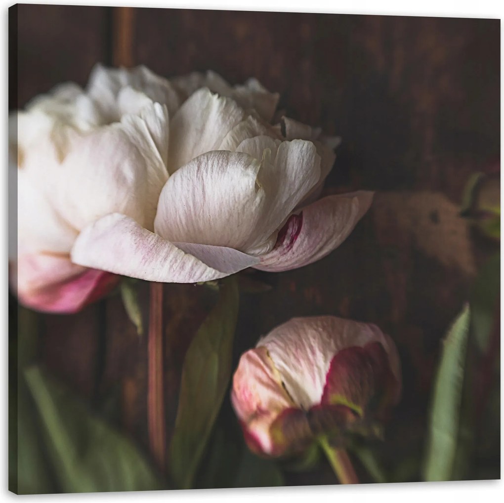 Vászonkép Fehér Virág Természet Vintage Retro 80x80