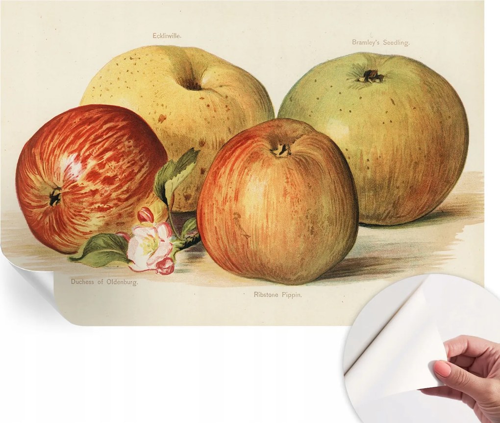 Fotótapéta Dekoratív Fali Tapéta Alma Virágok 104x70