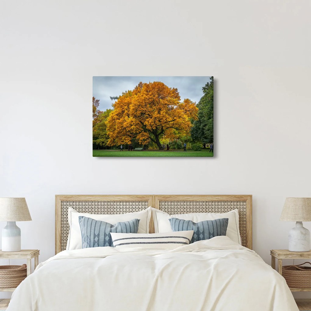 Fa képe (90x60 cm)