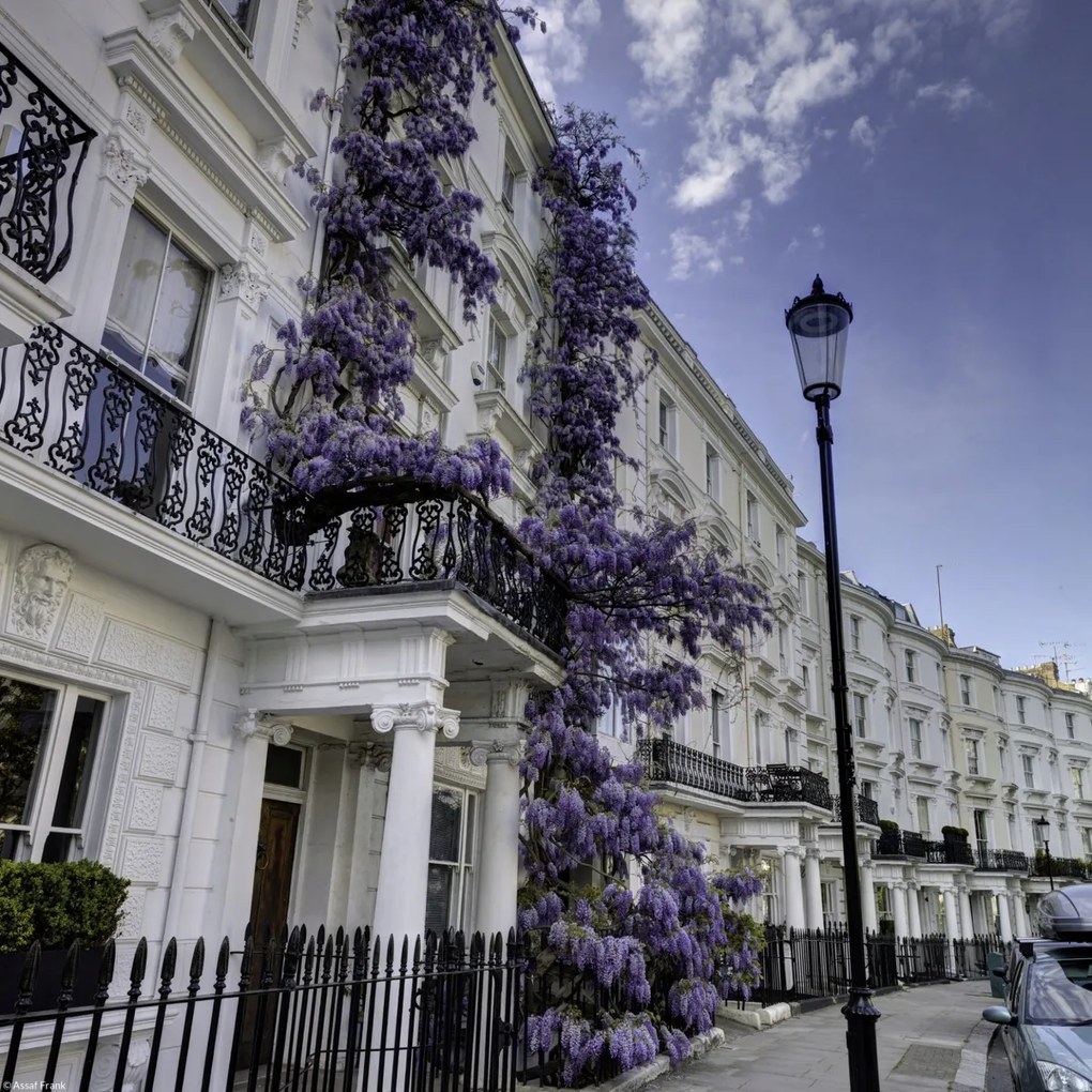 Poszter 30x30cm Ház a Portobello úton, Assaf Frank