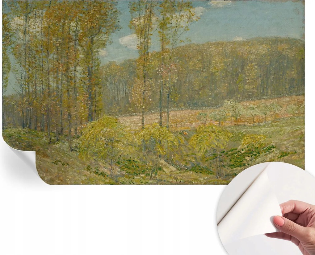 Öntapadós tapéta Divatos 3D fali ragasztó Erdei tájkép 416x254 cm