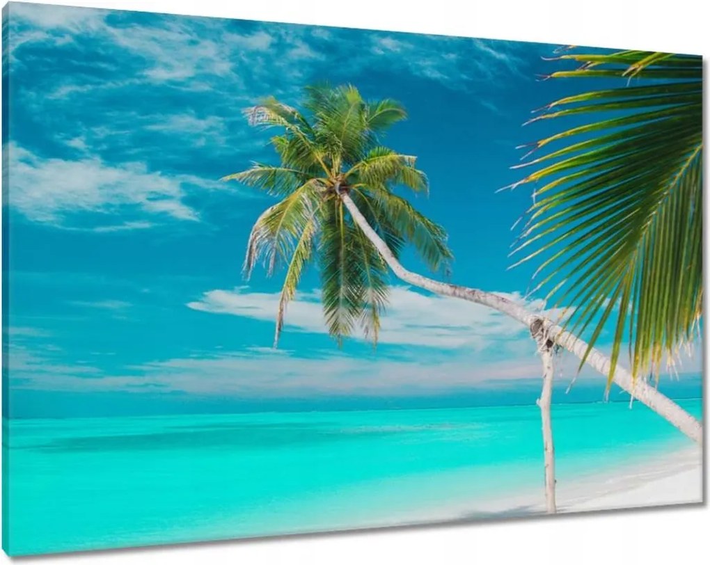 Festmények 100x70 Tájkép Látvány