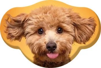 Kutyás Toy Poodle formapárna, díszpárna 28x40 cm Velúr