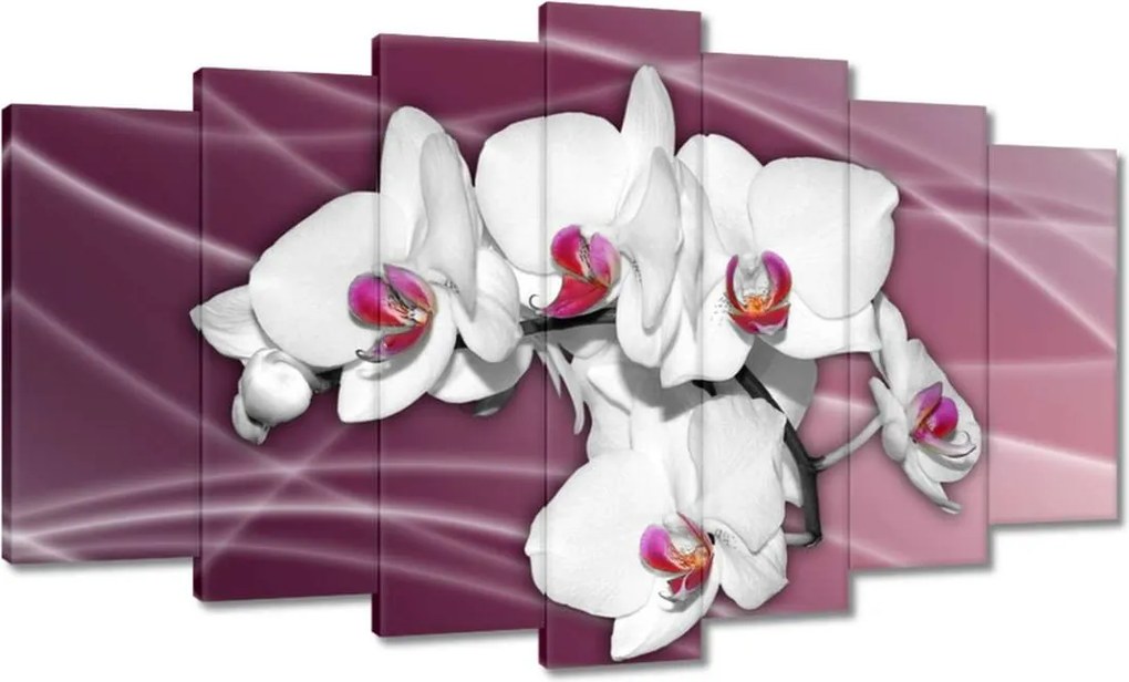 Vászonkép 140x80 Gyönyörű orchidea Virágok