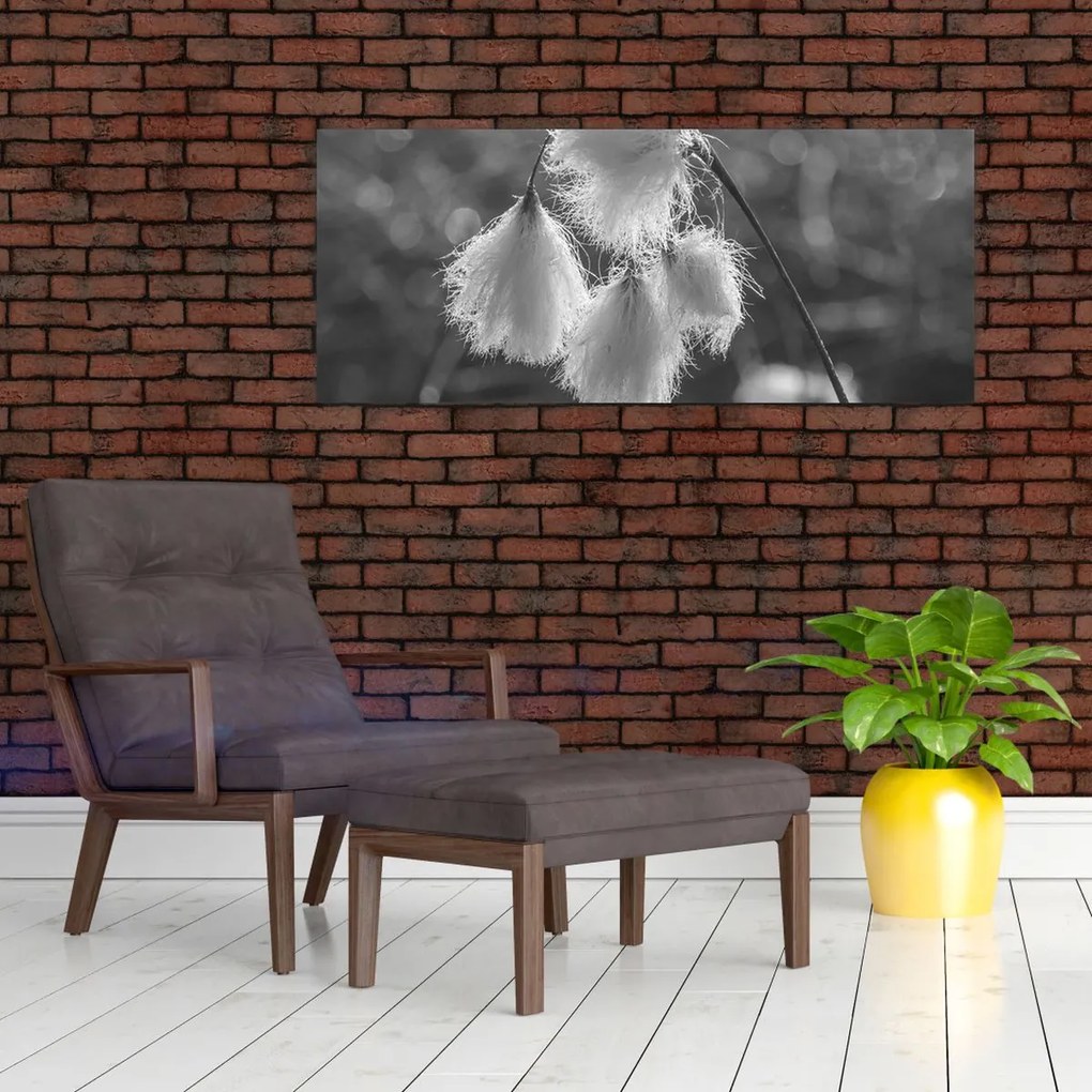 Kép - Cottongrass (120x50 cm)