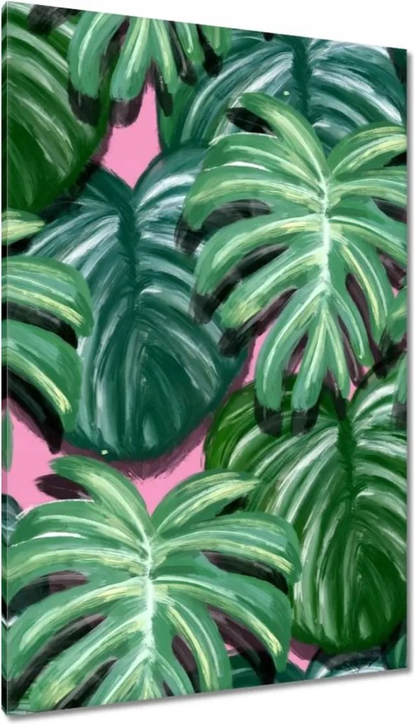 Vászonkép 80x120 Monstera Levelek levél