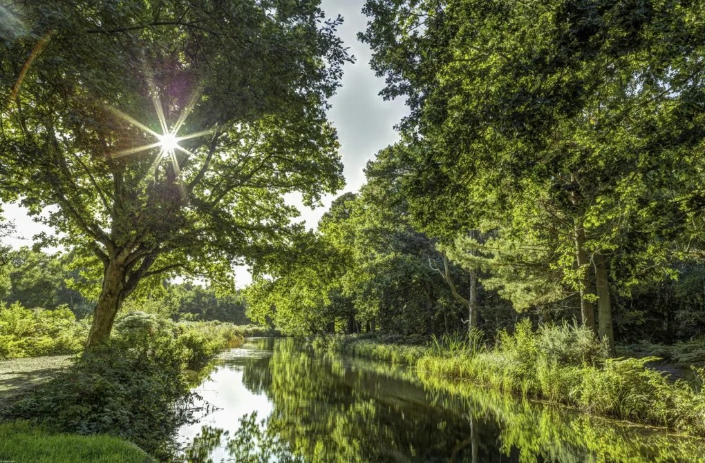 Poszter 86,4x56,8cm Basingstoke csatorna vidéken 2, Assaf Frank