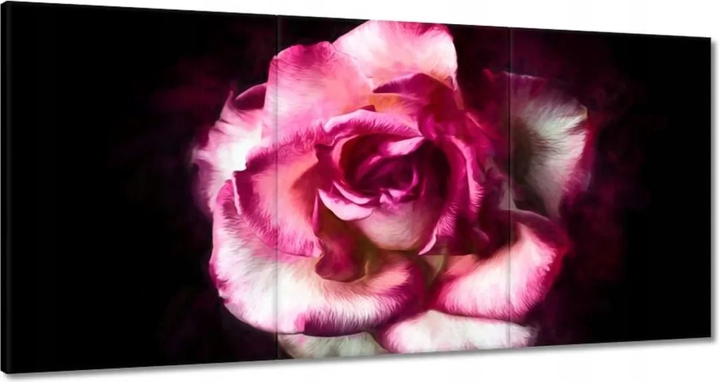 Vászonkép 180x90 Nagyvirágú rózsa Rózsa