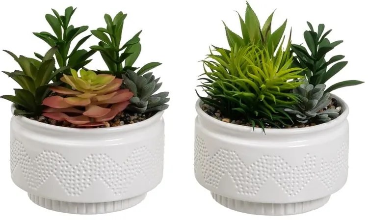 Műnövény szett 2 db-os (magasság 19 cm) Cactus – Casa Selección