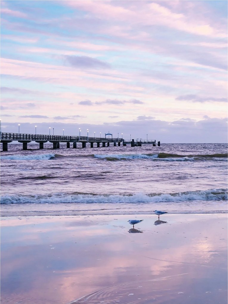 Flizelin fotótapéta Naplemente tenger sirály tengerpart háttér 206x275 +ragasztó