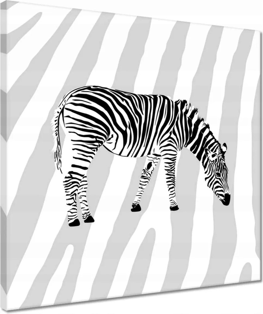 Vászonkép 40x40 Zebra csíkok