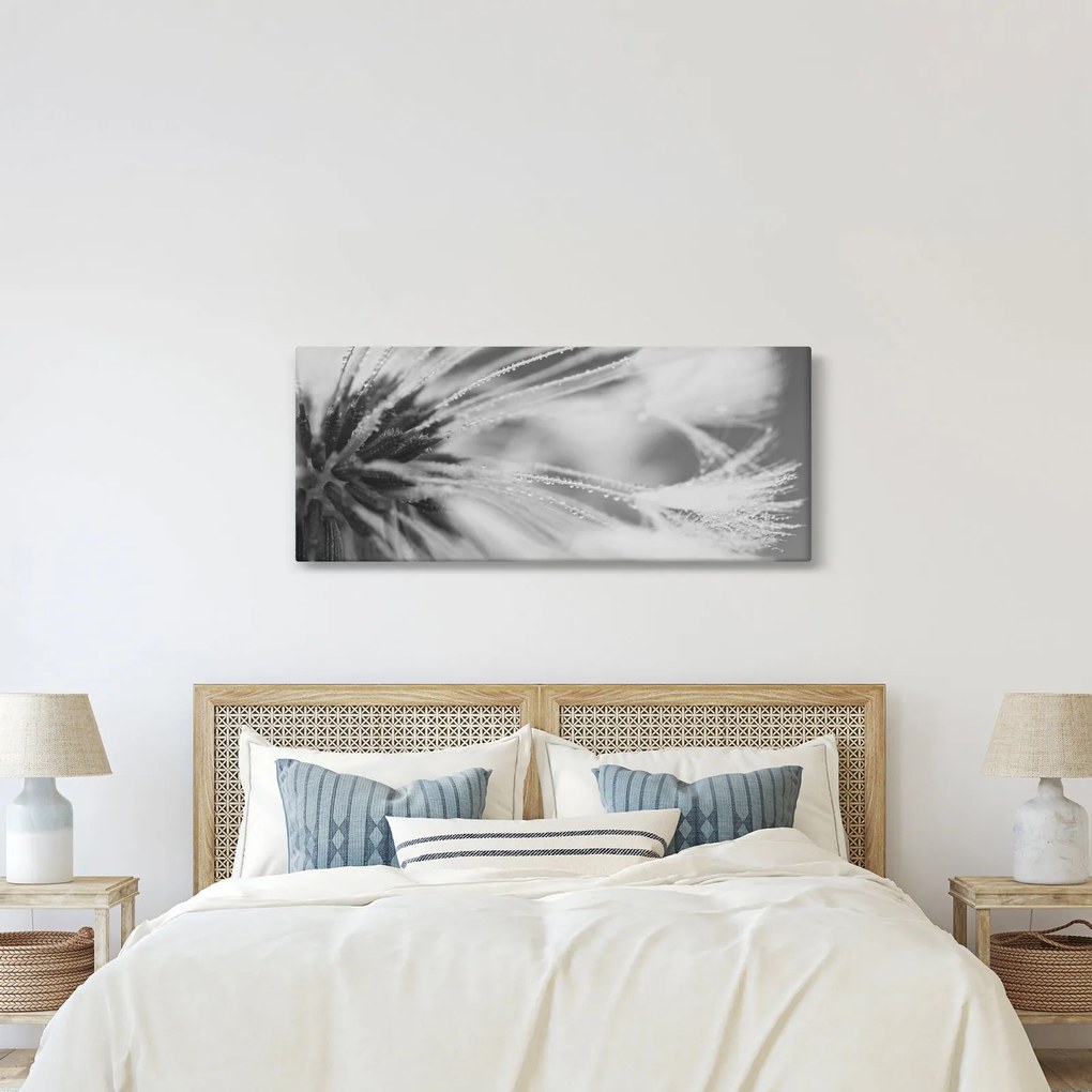 Kép - Pitypang (120x50 cm)