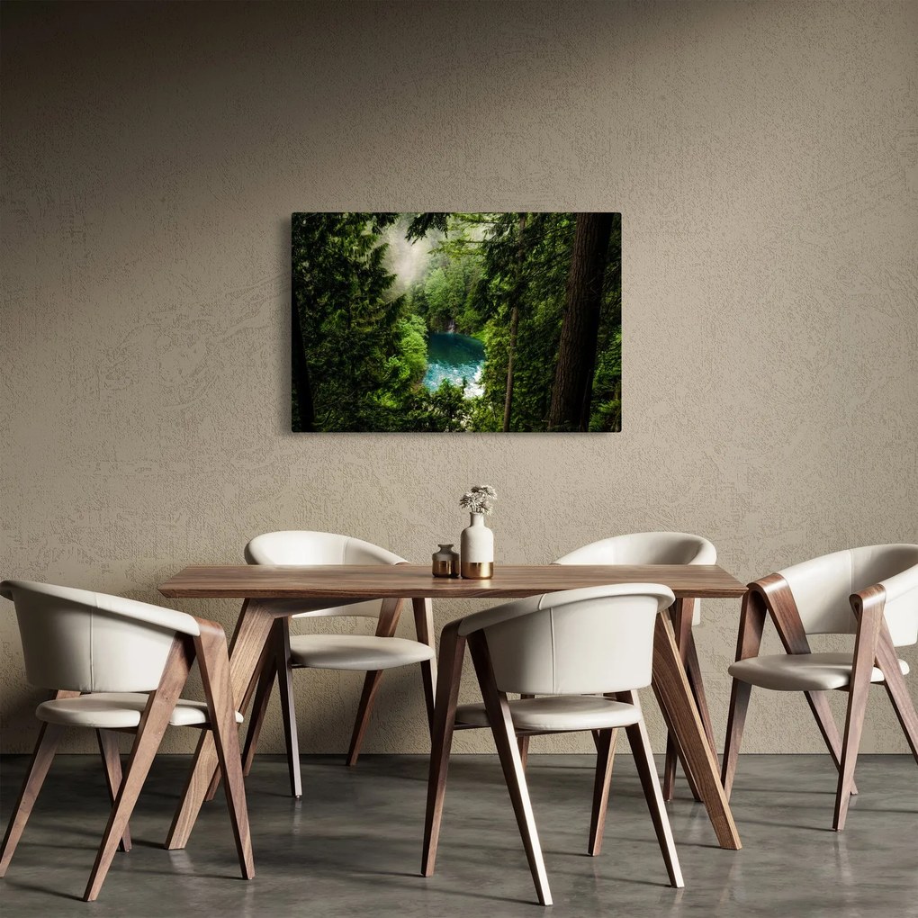 Kép - kilátás a fák között (90x60 cm)