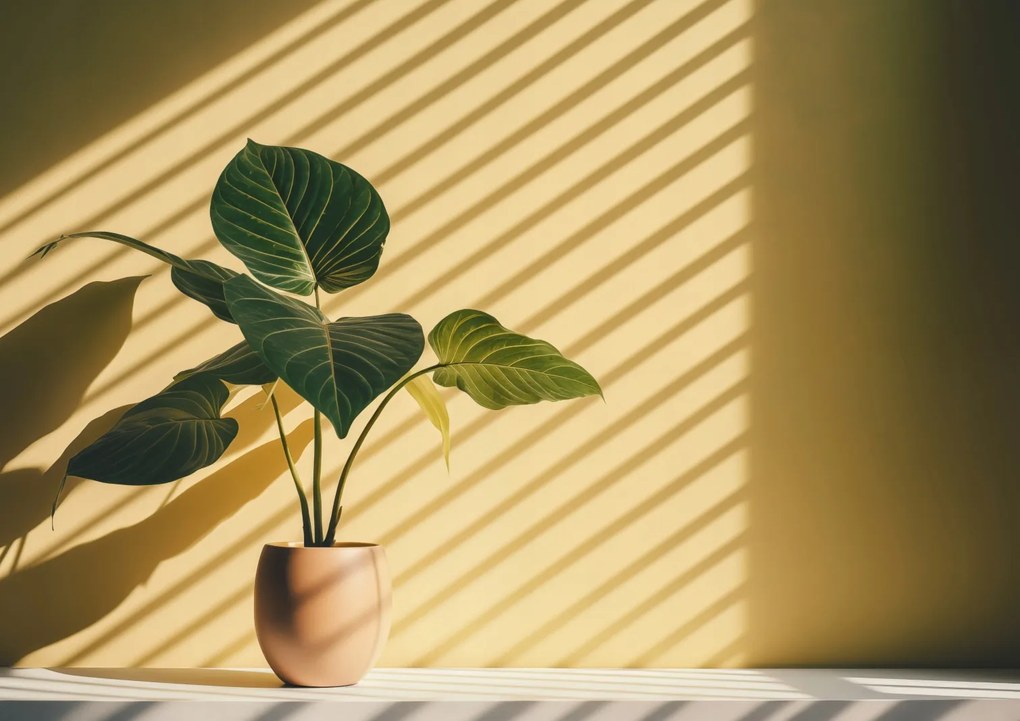 Poszter 84,1x59,4cm Arany fény