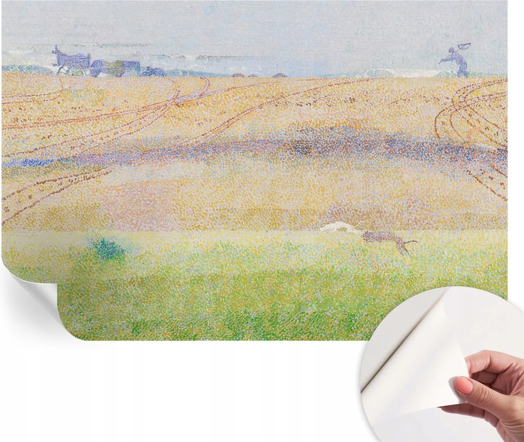 Fotótapéta Dekoratív Fali Tapéta Képek Nyári mező 104x70