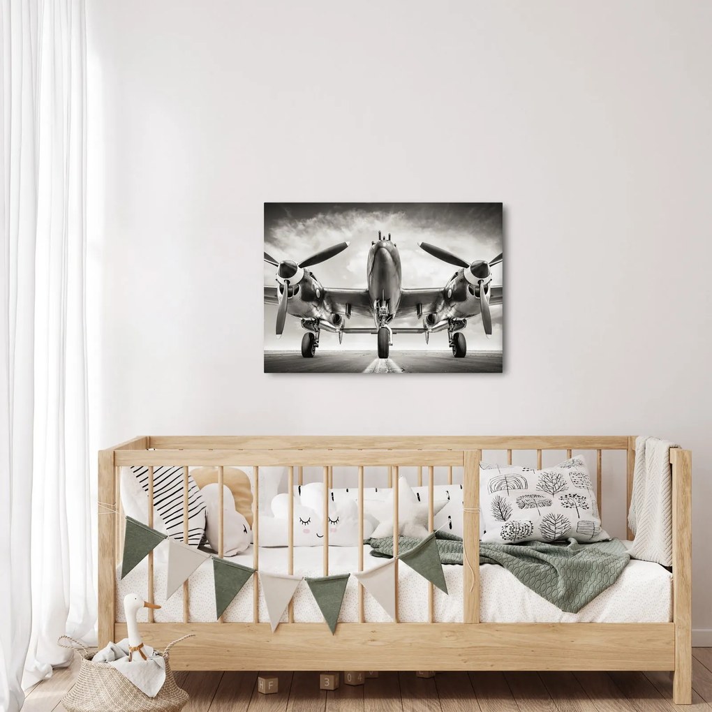 Kép - Warbird (70x50 cm)