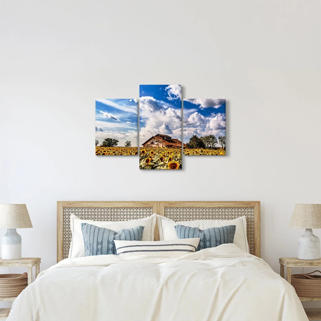 Napraforgó mező képe (90x60 cm)