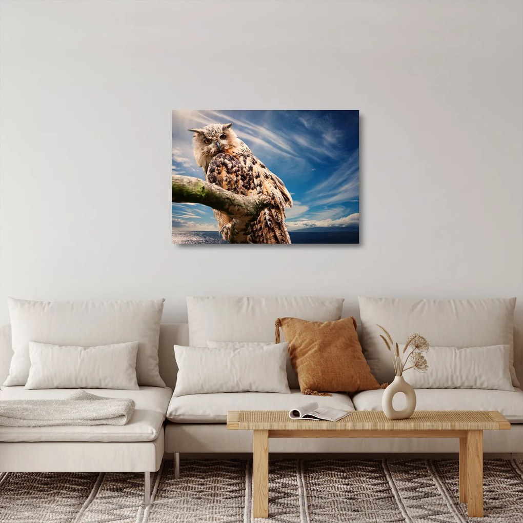 Kép - Bagoly (üvegen) (70x50 cm)