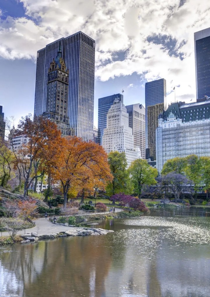 Poszter 21x29,7cm Tó a Central Parkban Manhattan panorámával, Assaf Frank