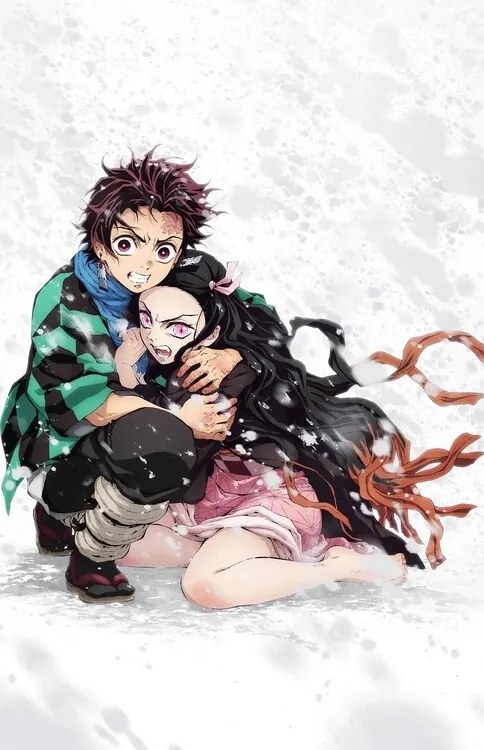 Plakát Demon Slayer - Tanjiro & Nezuko