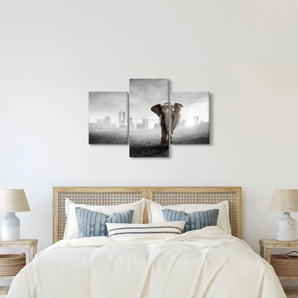 Kép -Elefánt egy nagyvárosban, fekete-fehér változat (90x60 cm)