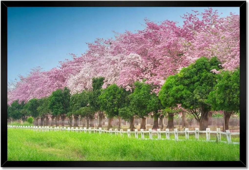 Poszterek keretben 60x40 Cseresznye tájkép
