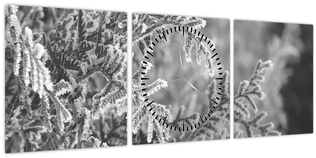 Kép - Lucfenyő erdő (órával) (90x30 cm)