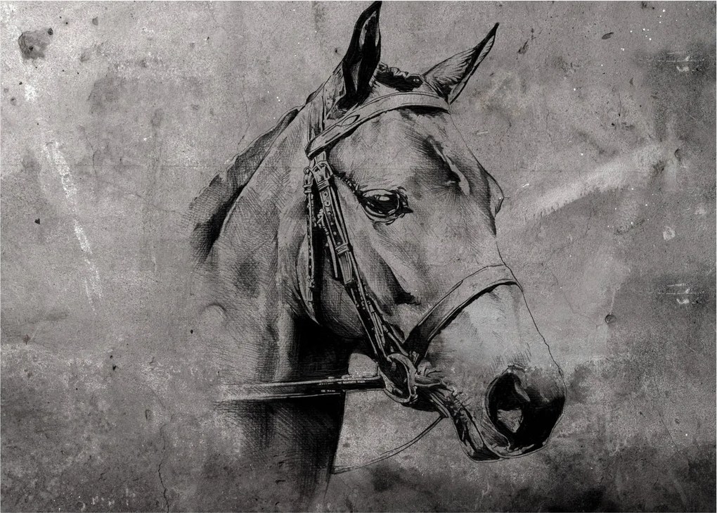 Kép - Egy ló portréja (70x50 cm)