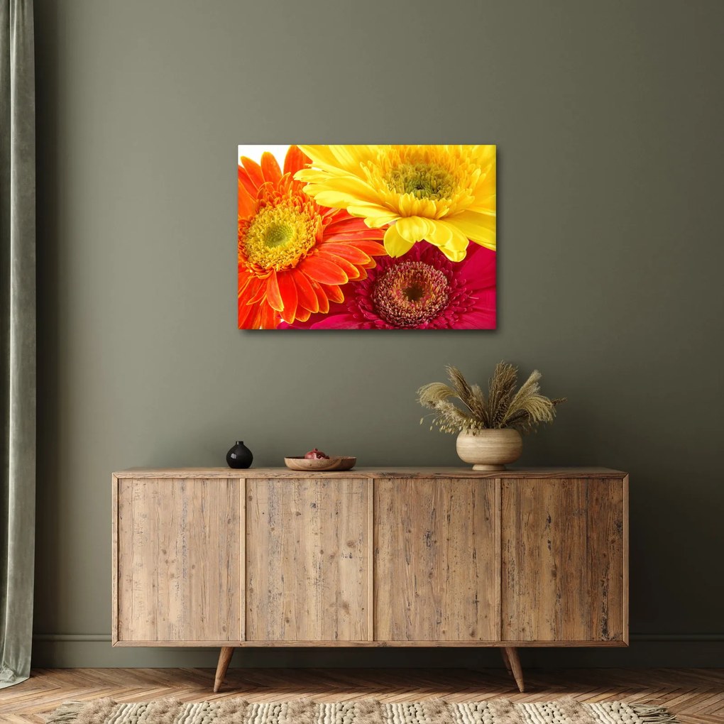 Kép - Virágok Gerbery (70x50 cm)