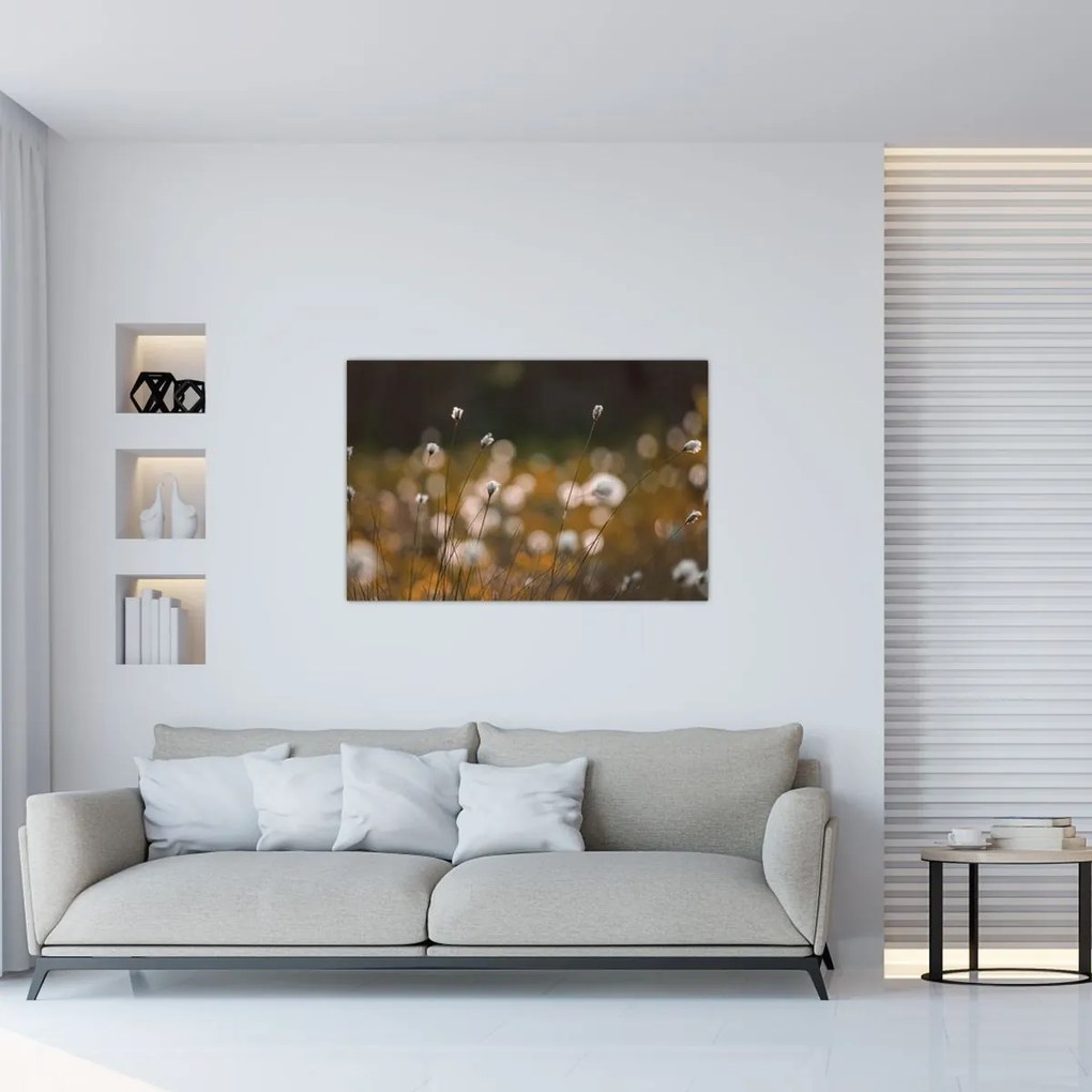 Kép - Gyapotfűvel borított rét N⁰2 (90x60 cm)