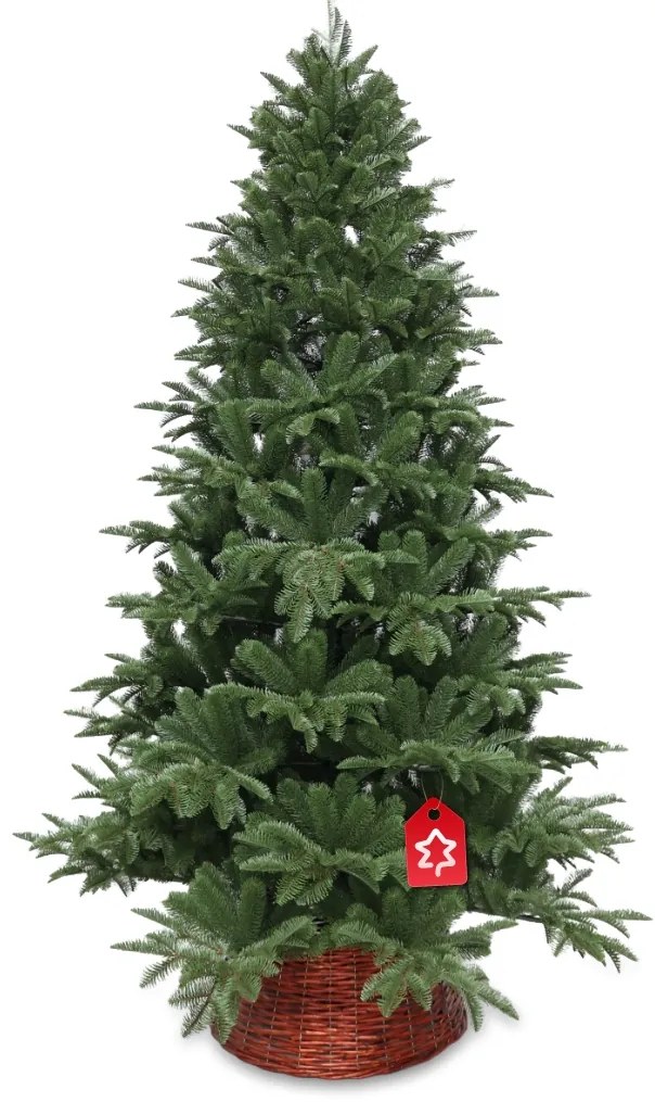Kaukázusi jegenyefenyő 100 % 180 cm