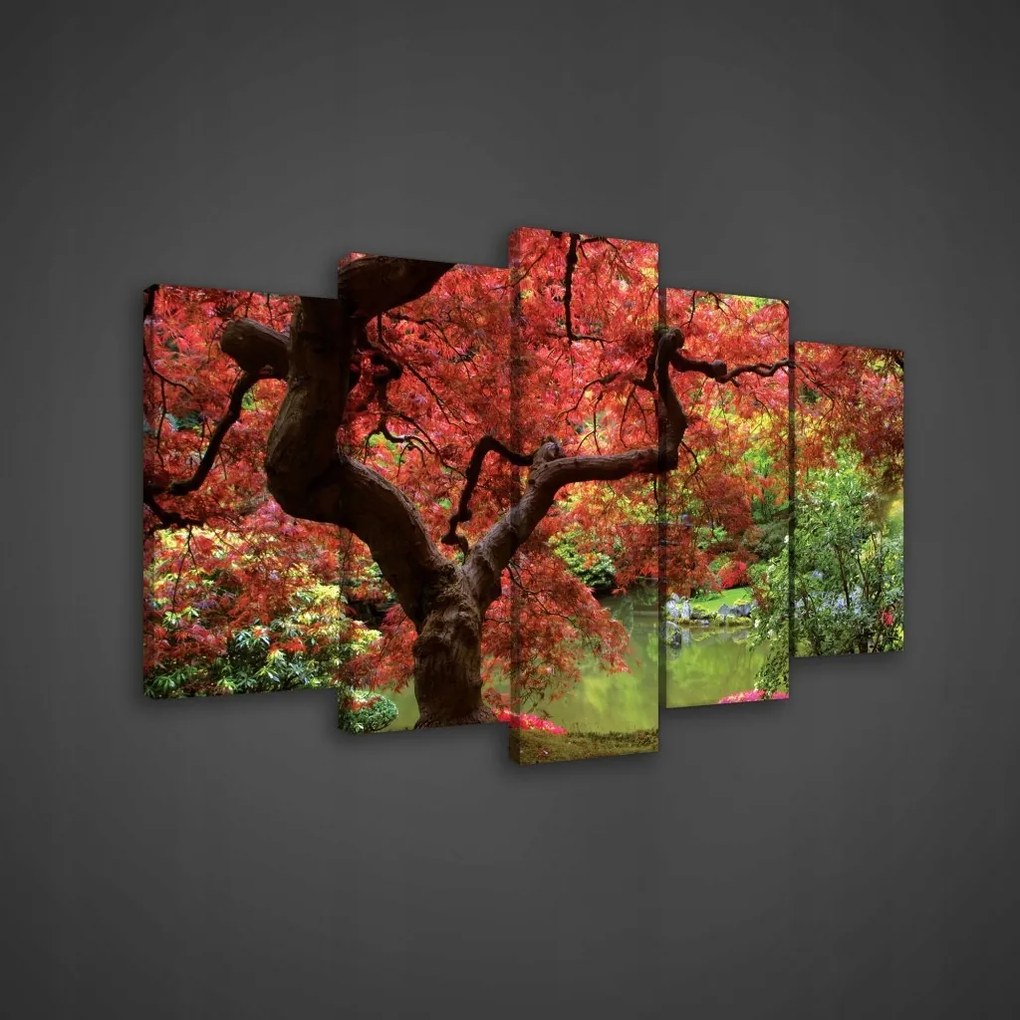 Vászonkép 100x60 Ősz juhar japán kert tó piros levelek természet nyugalom