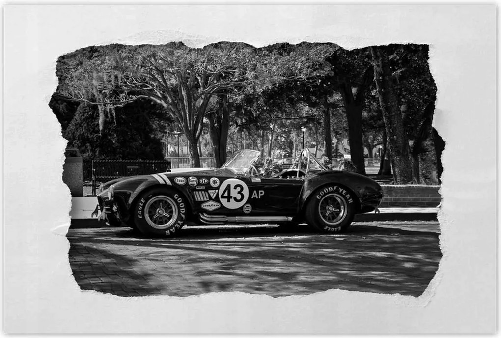 Poszterek 60x40 Shelby