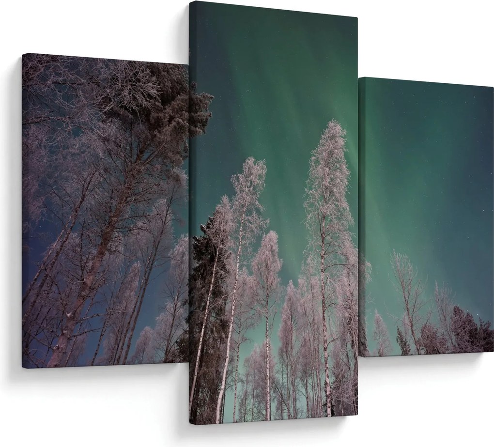 Az aurora borealis képe fagyos fák felett (90x60 cm)