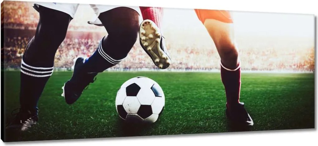 Képek 100x40 Labdarúgók Labdarúgás Ág Dugók