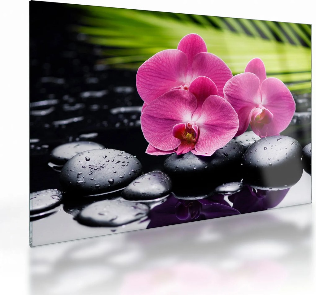 Üveg kép - Rózsaszín orchidea pálmalevéllel (70x50 cm)