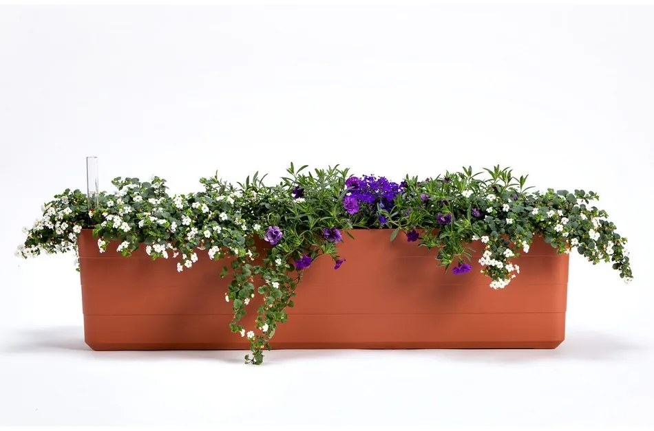 Plastia Berberis 80 Önöntöző virágláda, terrakotta + elefántcsont, 80 cm